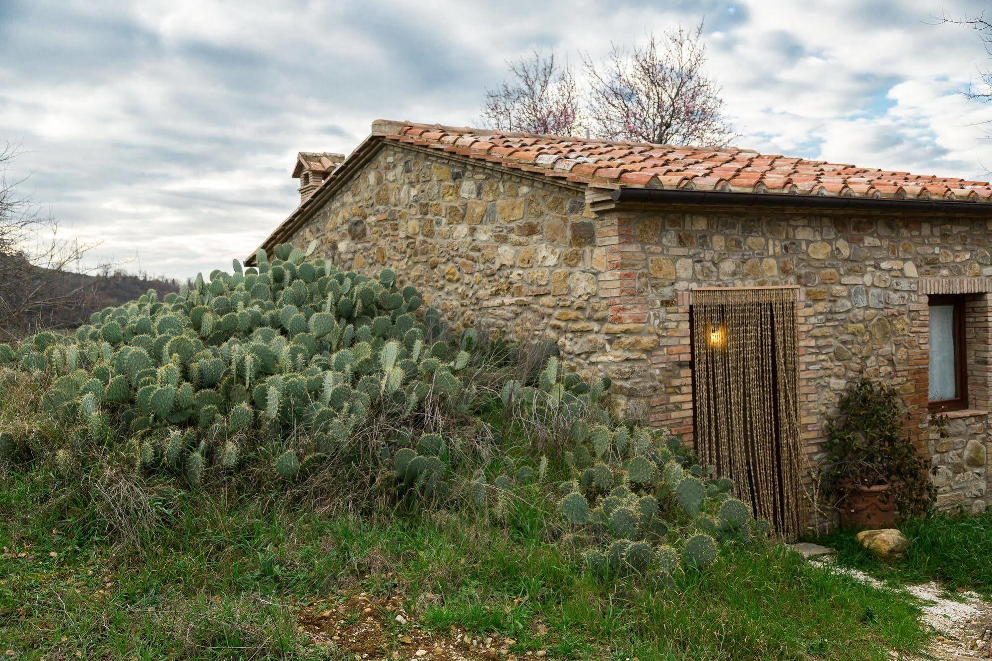 Agriturismo Le Canterie Radicondoli Exterior foto